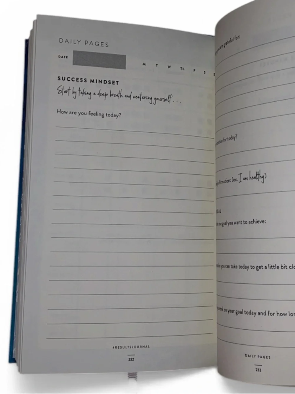 THE RESULTS Journal by Kris Carr New Without Tags/Stickers Self Help Journal